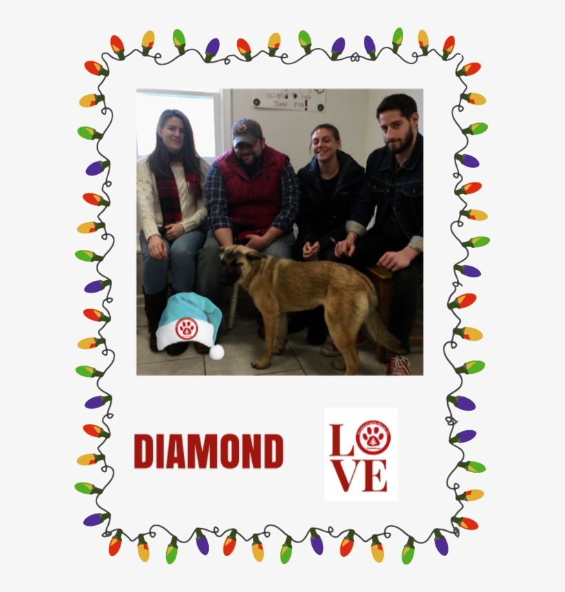 Diamond - Png, transparent png #4735190