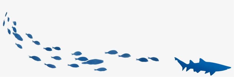 Heading Away - Fish, transparent png #4735580