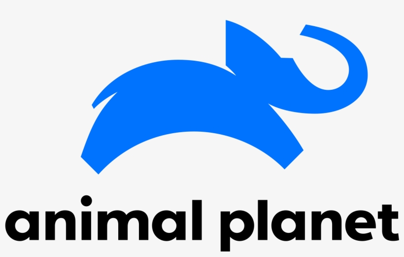 Open - Animal Planet Logo 2018, transparent png #4735984