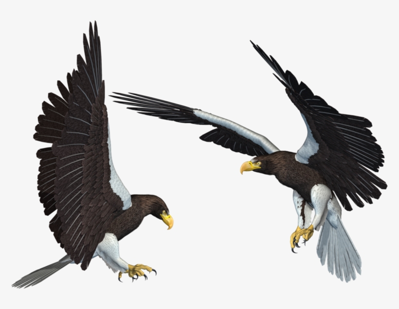Eagle Png - Eagle 3d Png, transparent png #4737828