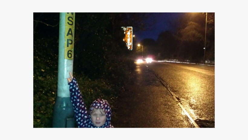 Streetlight Sandgate Hill - Night, transparent png #4738328