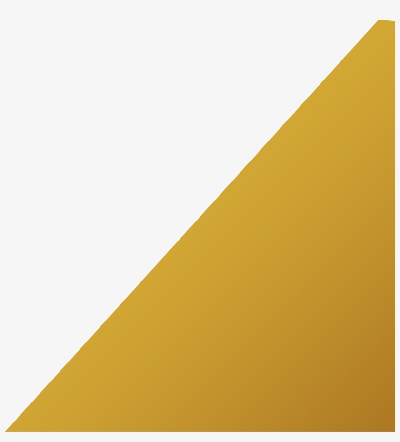 Better Than What You Could Have Hoped For, transparent png #4738951
