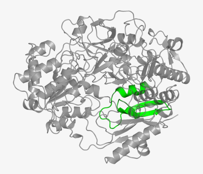 <div Class='caption-body'>1 Copy Of Pfam Domain - Illustration, transparent png #4740468