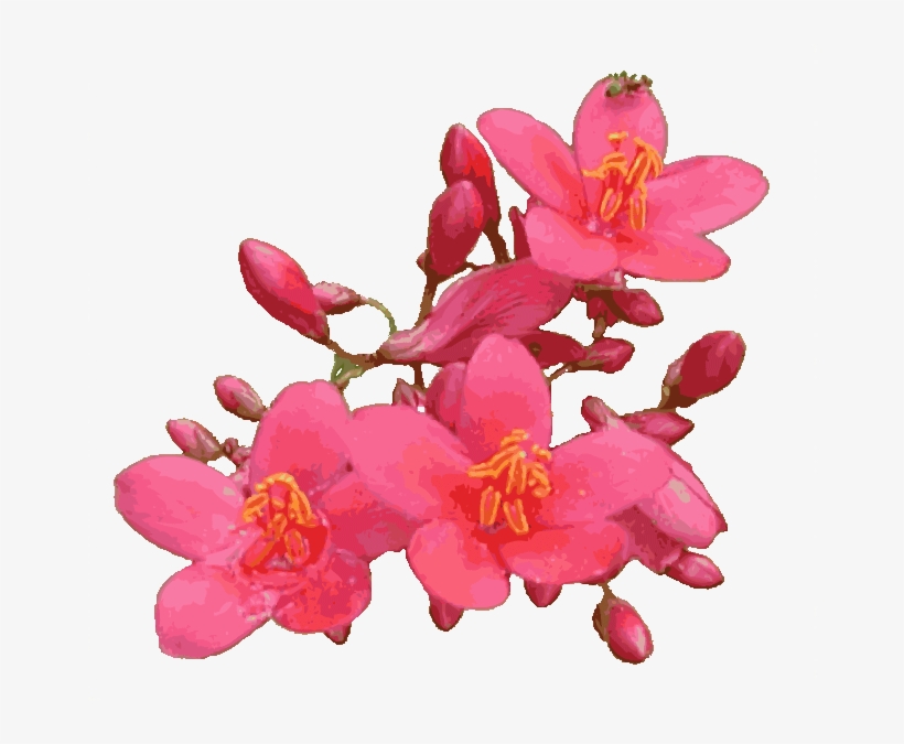 Animated Pink Flowers - Flower Gif With Transparent Background, transparent png #4741250