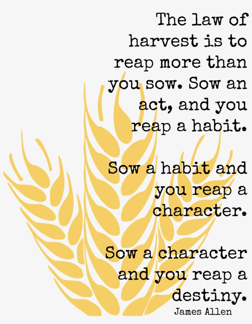 Food - Freedom Of Being Human By Rabjot Singh Isher, transparent png #4741731