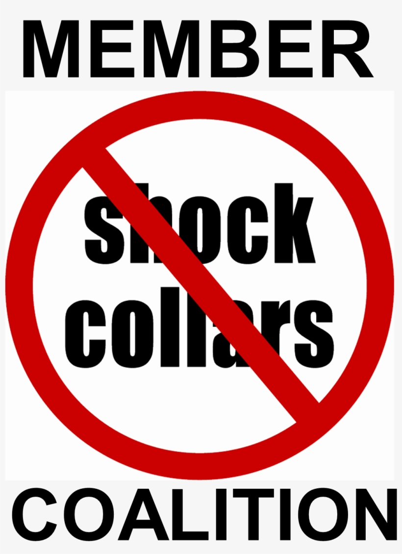 The Polarization Of The Dog Training No Pain Vs - Shock Collars, transparent png #4742456