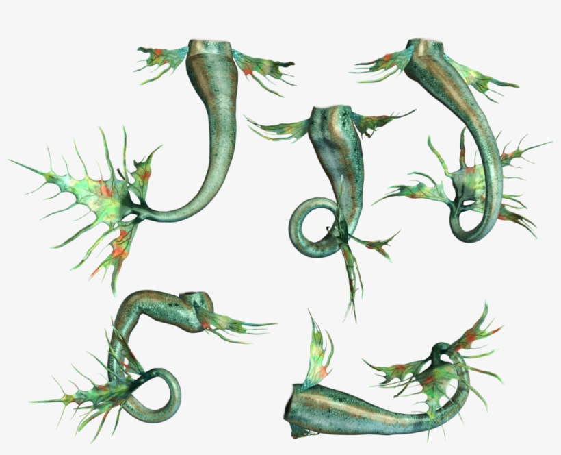 Mermaid Fin, Mermaid Tails, Scrap, Image, Gift Cards, - Illustration, transparent png #4742724