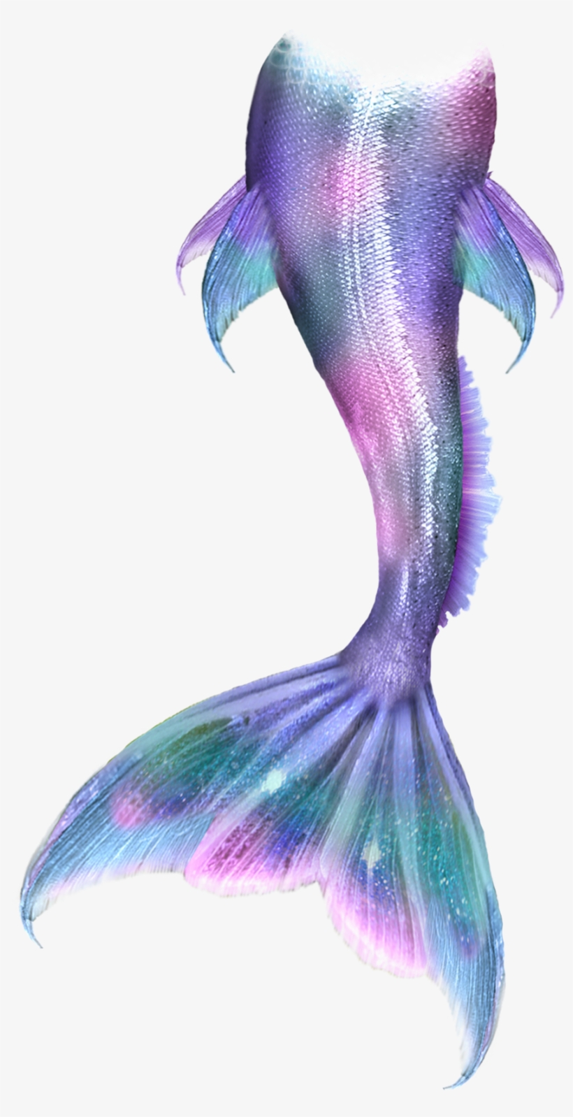 Fins Clipart Mermaid Tail - Cauda De Sereia Desenho, transparent png #4742789
