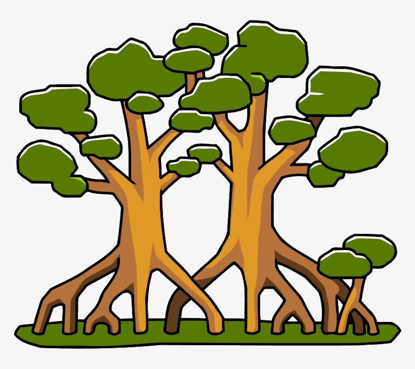 Mangrove Trees Clipart, transparent png #4743440
