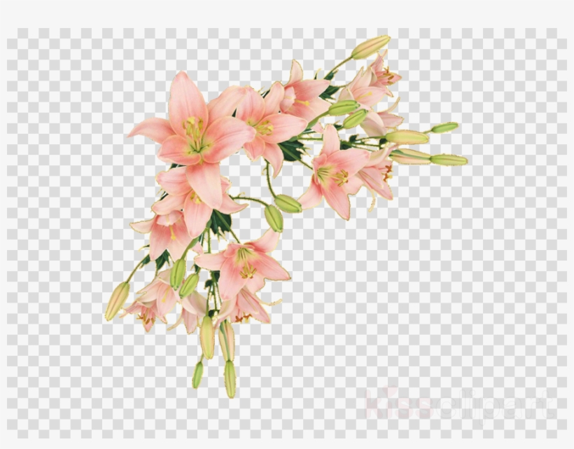 Download Flower Border Png Lily Clipart Floral Design - Flower Border Png Lily, transparent png #4744398