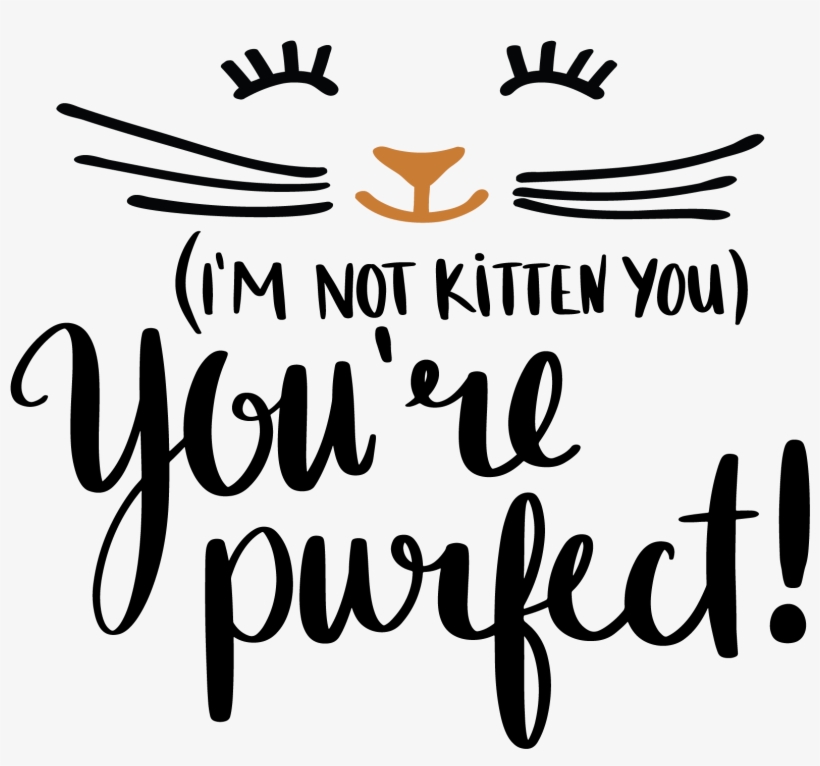 Image Library Stock Pin By Marga D - You Re Purfect, transparent png #4744566