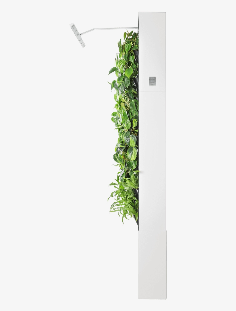 Naava One Slim - Refrigerator, transparent png #4745825