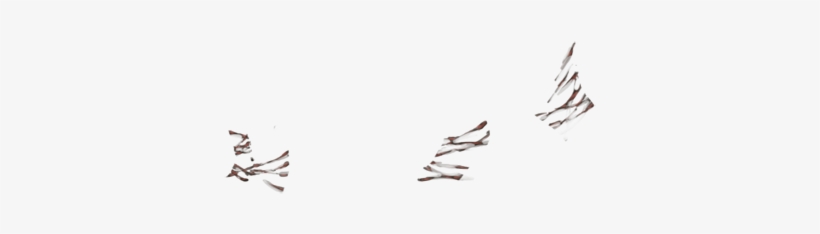 Lioden Scar Png, transparent png #4746085