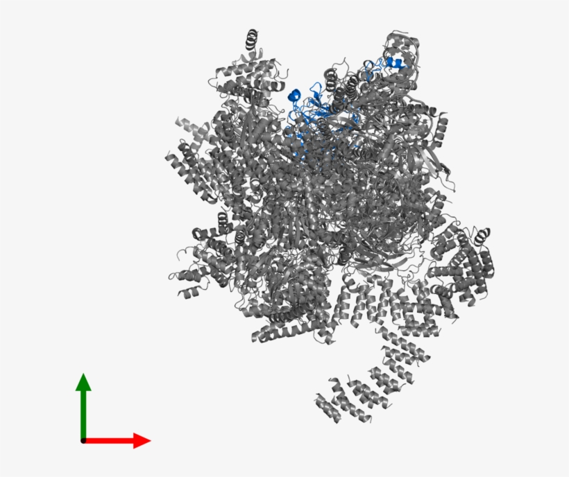 Tree, transparent png #4749843