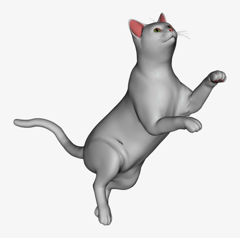 White Cat - Cat Yawns, transparent png #4751059