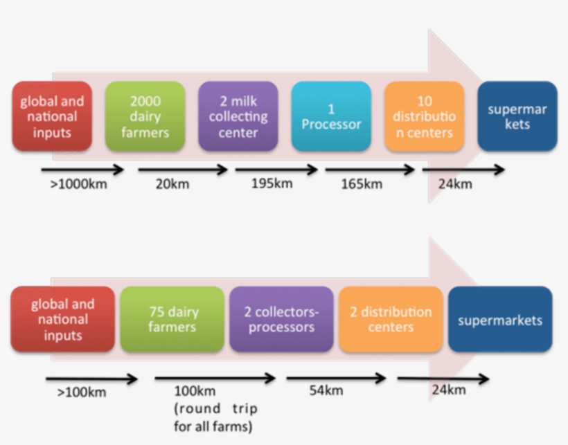 2 Supply Chains Of The Two Milk Case Studies - Diagram, transparent png #4755003