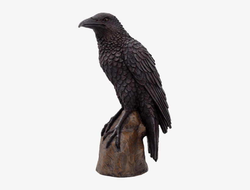 Waiting Raven Statue - Black Raven Bird On Stump Statue Cold Cast Resin Figurine, transparent png #4755228