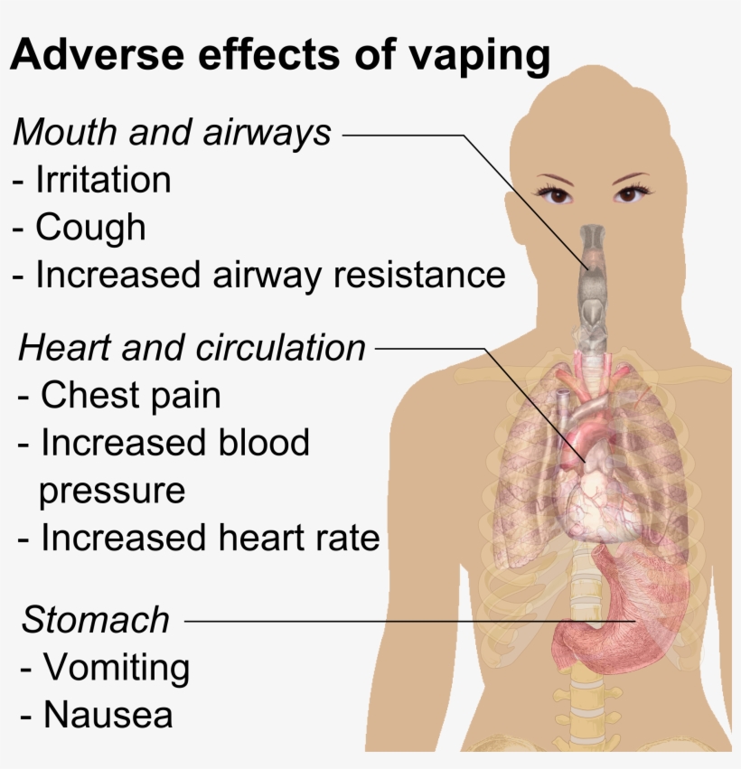 Toto, We're Not In Kansas Anymore - Side Effects Of Vaping, transparent png #4756281