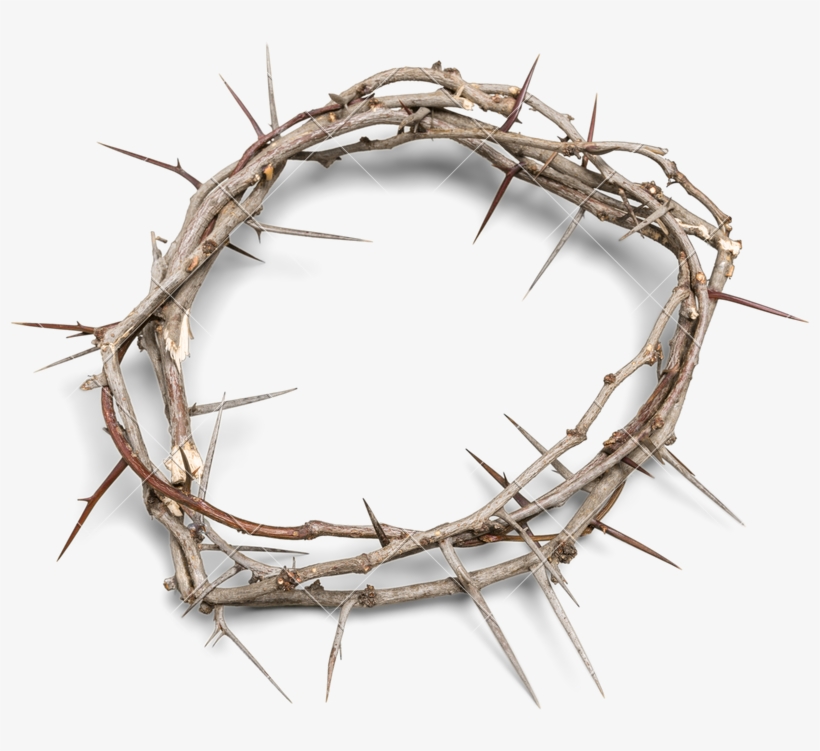 Crown Of Thorns Background - Called To Reign By Rick Edwards 9781535116541 (paperback), transparent png #4757156