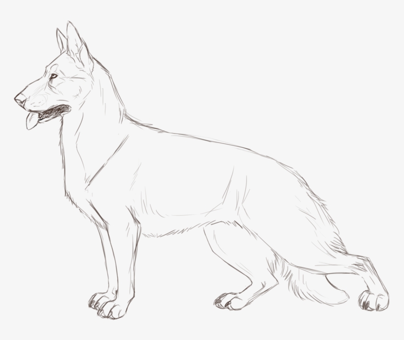 Germanshepherd - Line Art, transparent png #4760455