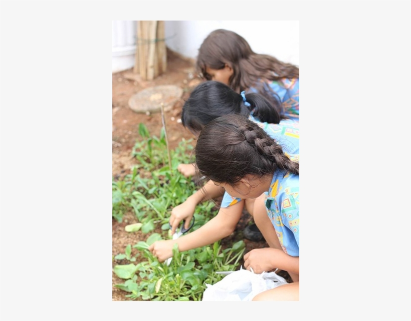 Next - Girl, transparent png #4760652