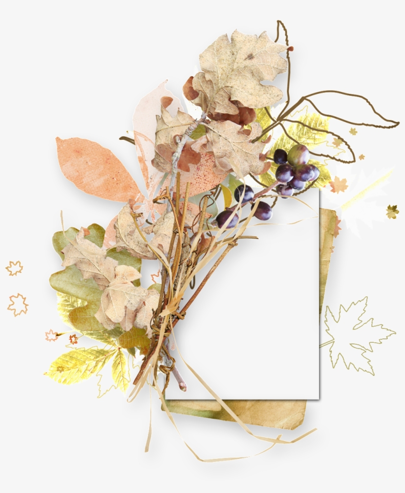 Autumn Leaf Border - Bouquet, transparent png #4761774
