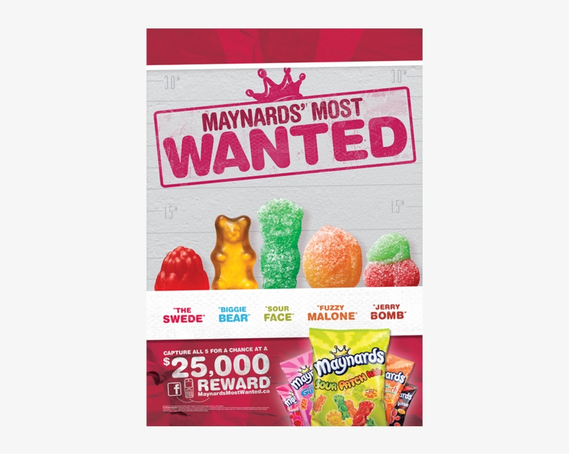 Interacting With Our Tsas Did More Than Launch The - Maynards Most Wanted, transparent png #4761958