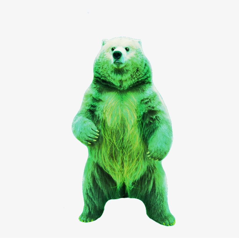 370kib, 526x768, Gummy Bear - Teddy Bear, transparent png #4762164