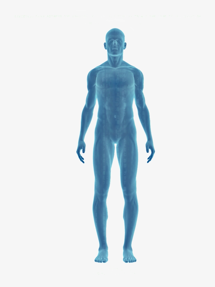 Are You 100% Physically Fit Regarding Your - Quercetin 500mg - Joint Relief, Anti-histamine, Anti-inflammatory, transparent png #4763171