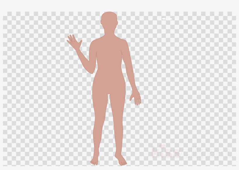 Cartoon Human Body Outline Clipart Human Body Drawing - Cute Anime Couple Aesthetic Pink, transparent png #4763976