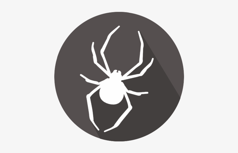 Protect Your Home With Pest Express, transparent png #4764215