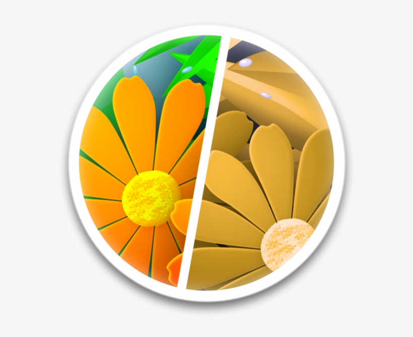 Sim Daltonism On The Mac App Store - Color Blindness, transparent png #4764566