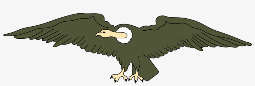 Andean Animal Bird Condor Png Image - Ecuador Flag, transparent png #4765500