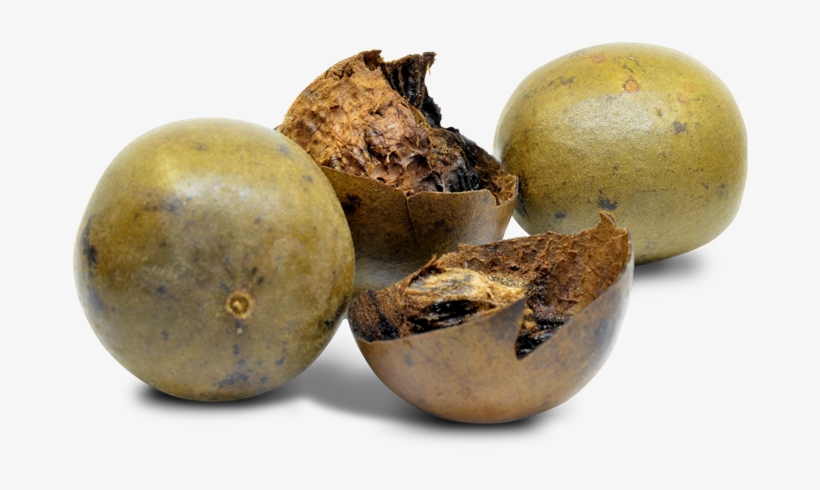Monk Fruit - Luo Han Guo, transparent png #4765901