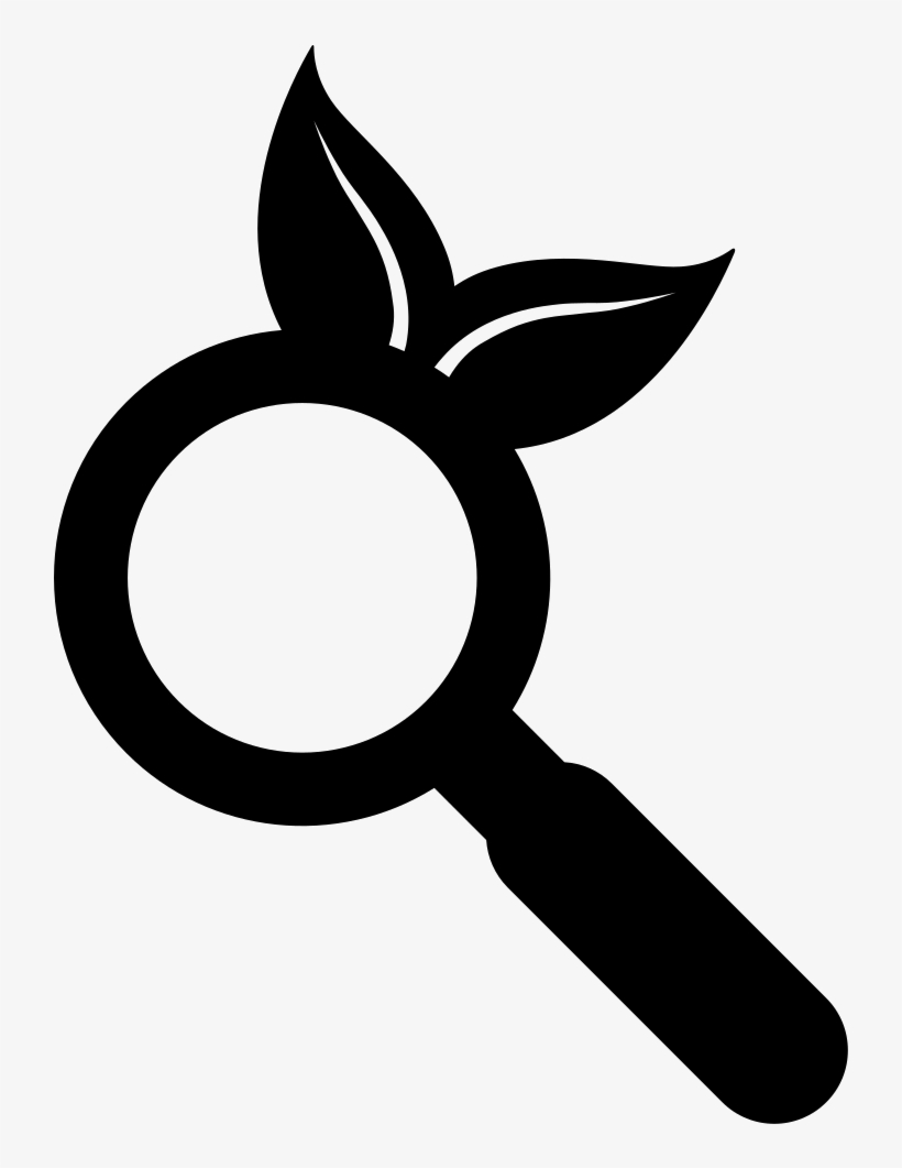 Png File Svg - Magnifying Glass, transparent png #4769351