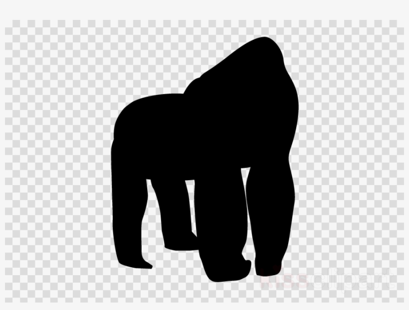 Clipart Resolution 640*640 - White Letter O With Transparent, transparent png #4769758