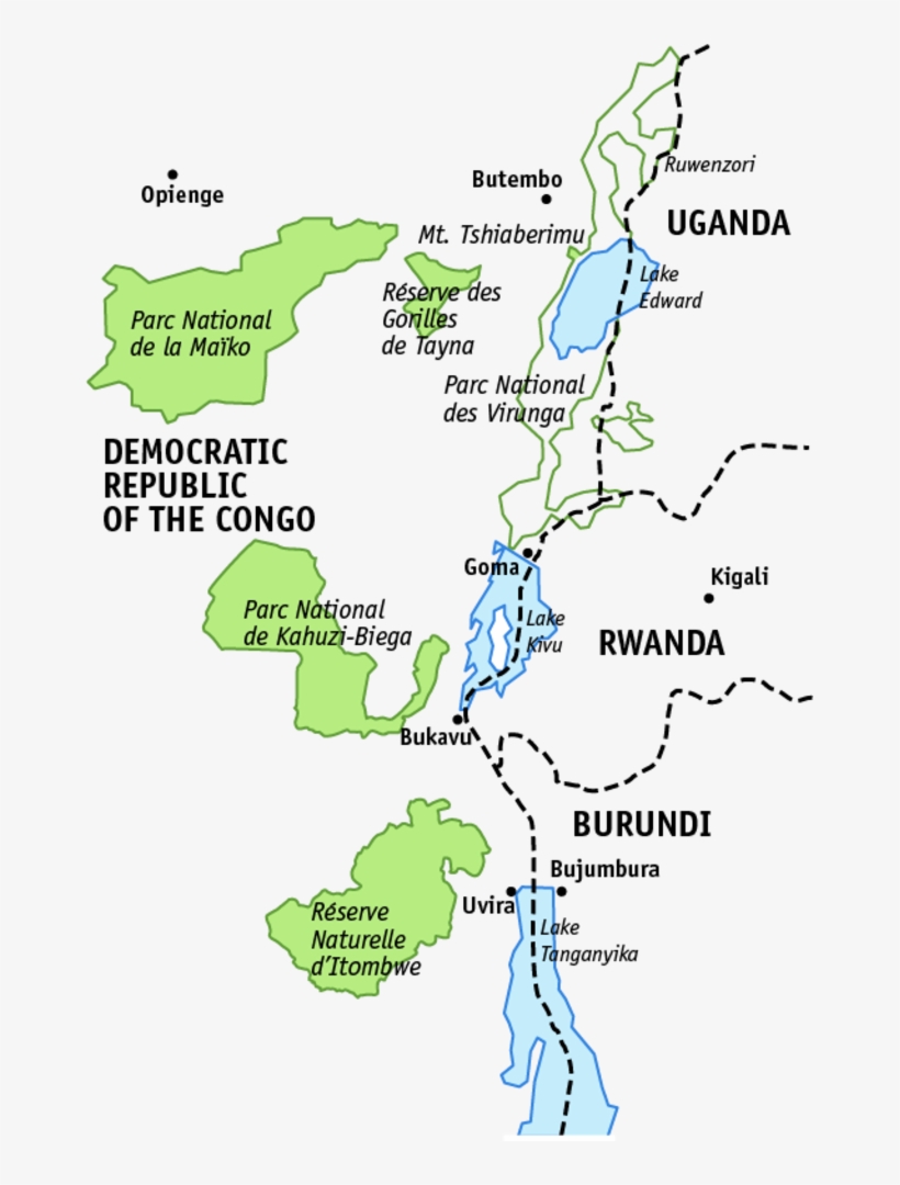 Grauer's Gorilla - Angela Meder, transparent png #4770083