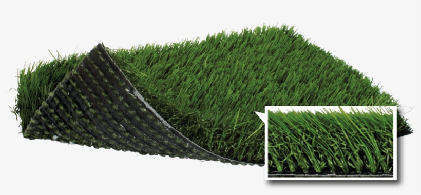 Description - Artificial Turf, transparent png #4770167