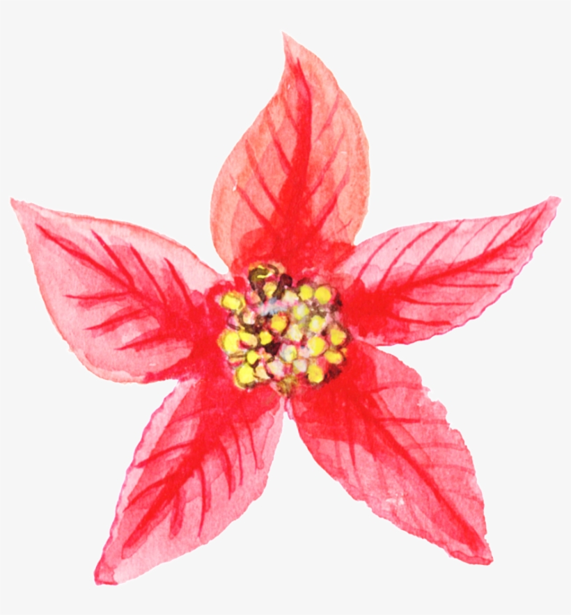Red Pattern Flower Christmas Png Transparent - Gold Star Png, transparent png #4771127