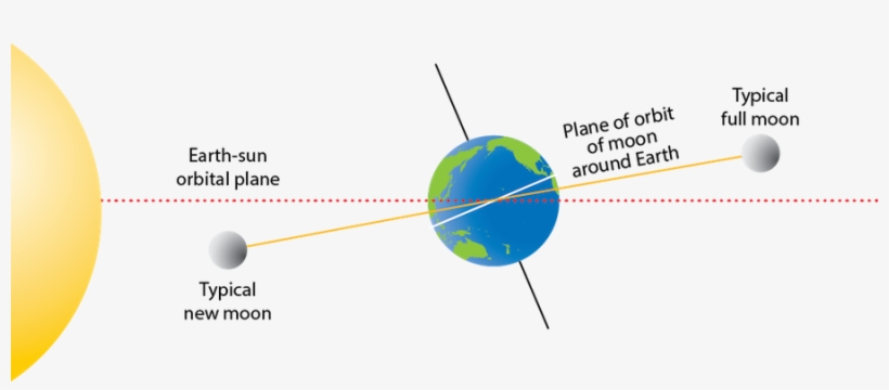 Ngss Disciplinary Core Ideas - Orbital Plane Of Earth And Moon, transparent png #4771130