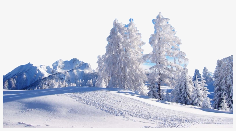 4shared - Com - Winter Scenes, transparent png #4771625