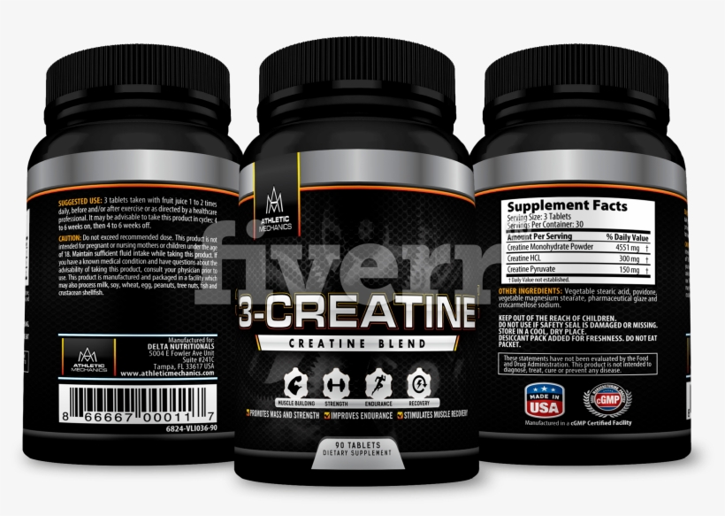 Fungus, transparent png #4771655