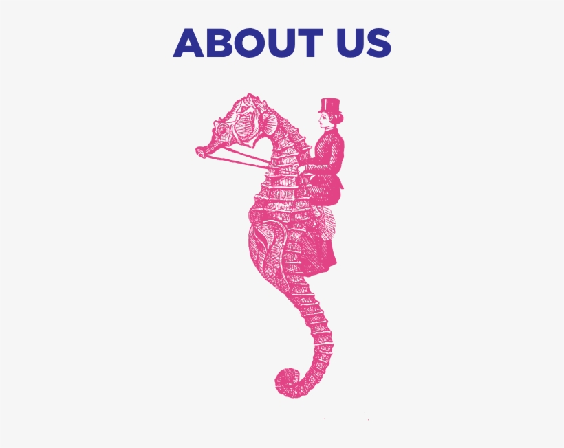 The Pelican Has Long Been A Symbol That Holds Great - Northern Seahorse, transparent png #4771983