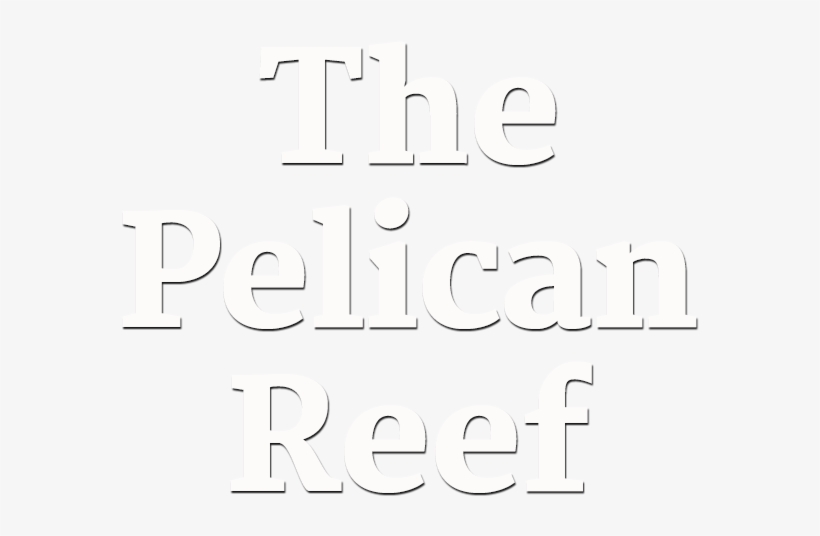 Pelican Reef - American Academy Of Diplomacy, transparent png #4772607
