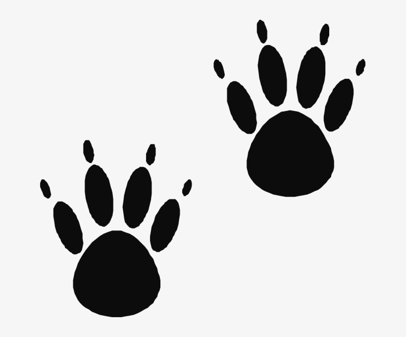 Free Ryan Cliparts Download Free Clip Art Free Clip - Paw Prints, transparent png #4772811