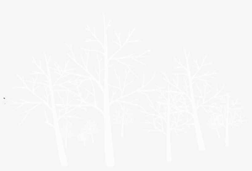Winter Snow Png - Tree, transparent png #4773432