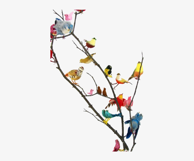 Party Flock What's Your Social Style - Vintage Bird, transparent png #4775153