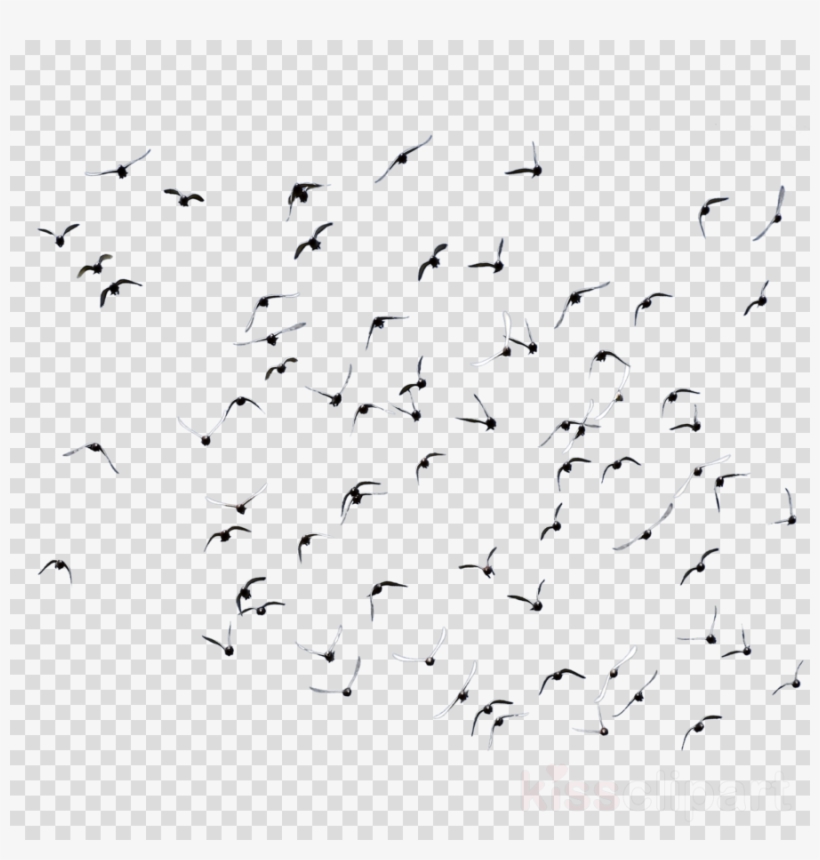 Portable Network Graphics, transparent png #4775231