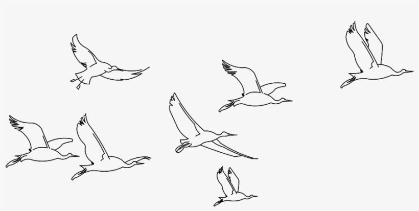 Sketch, transparent png #4775240