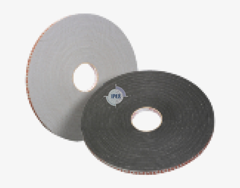 Cedar Wood, transparent png #4775999